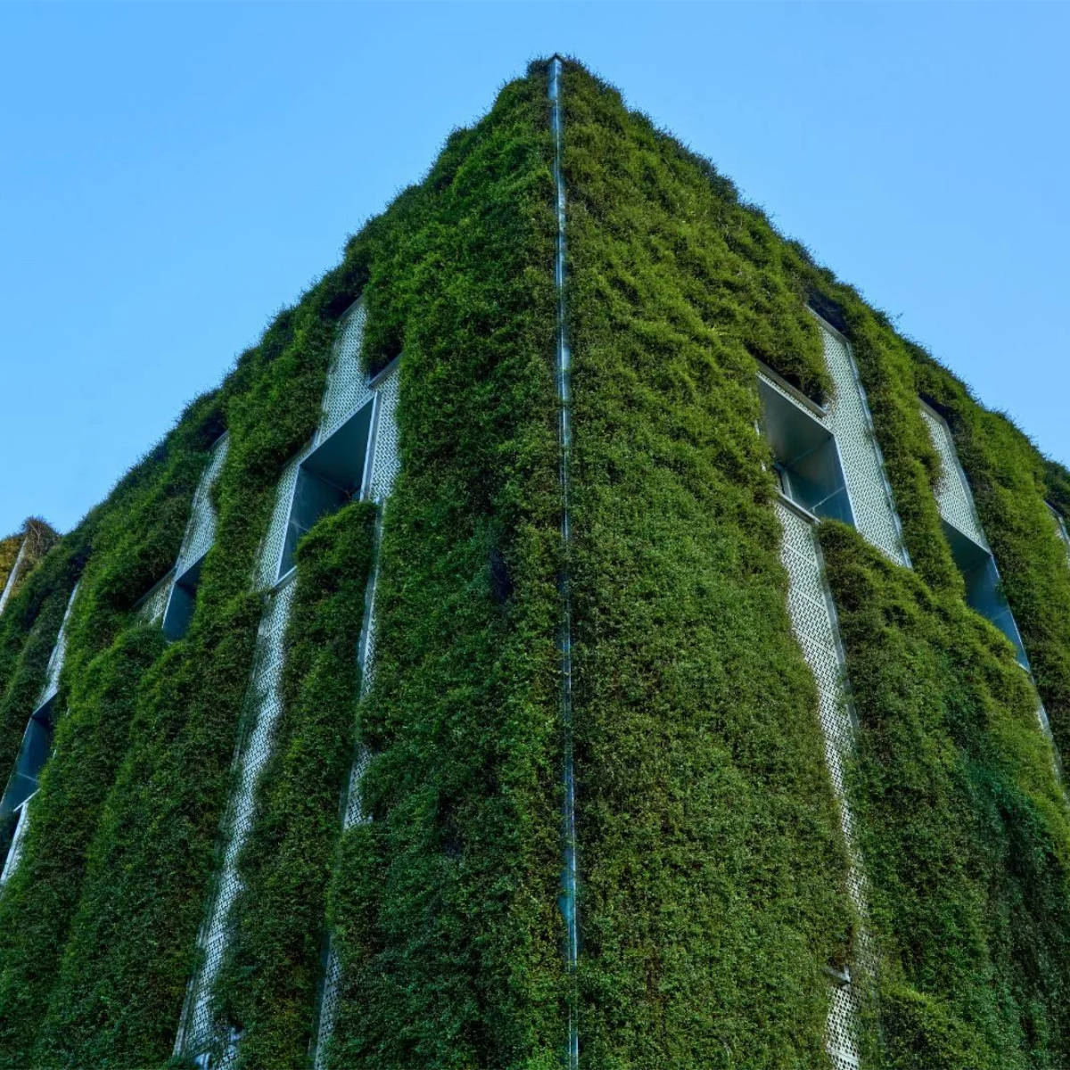 Green high-rise building