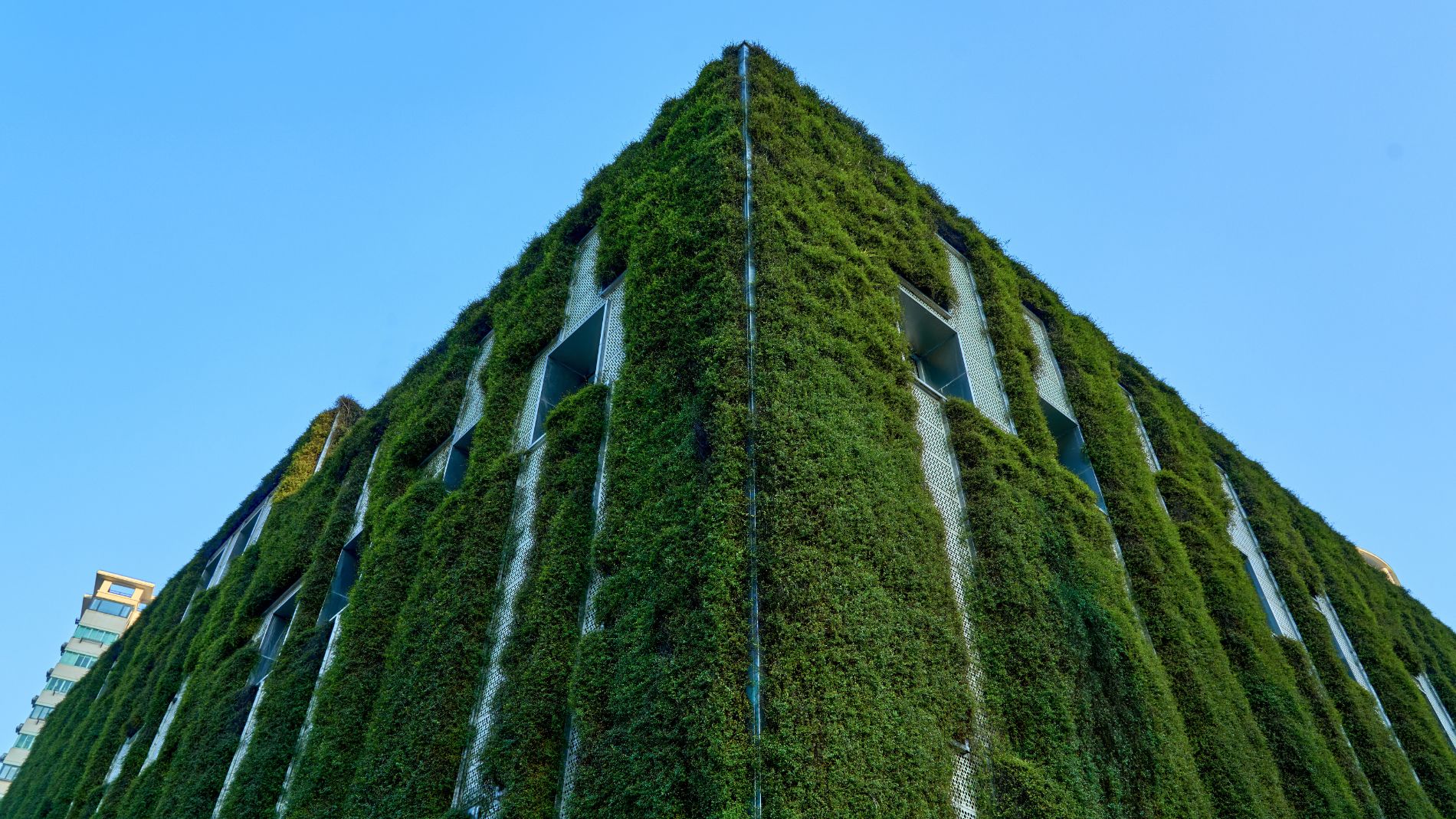 Green house front