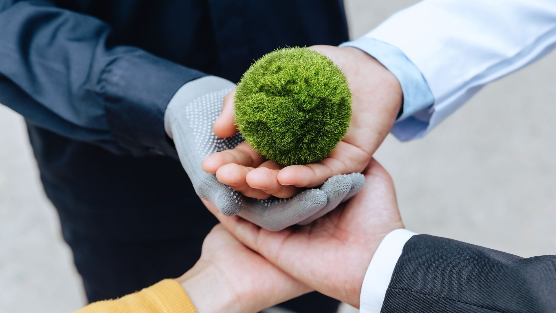 Hände halten Mooskugel als Nachhaltigkeitssymbol
