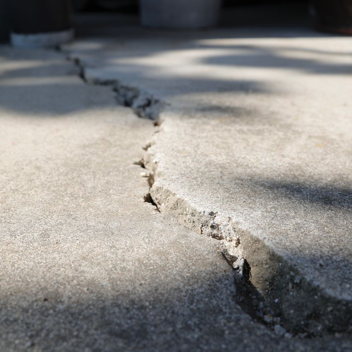 structural-survival-teaser-home